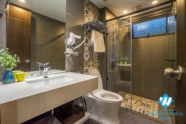 Stunning studio for rent in Hoan Kiem